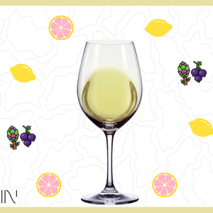 IGP COTES DE GASCOGNE BLANC 2025