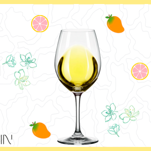 IGP COTES DE GASCOGNE COLOMBARD 2025