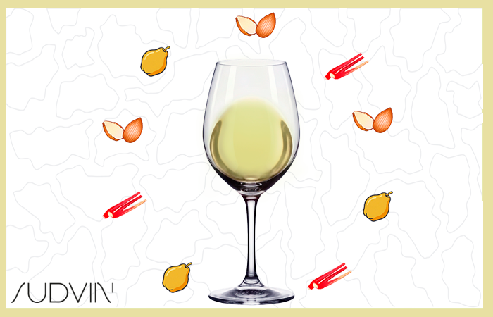 IGP COTES DE GASCOGNE GROS MANSENG 2025